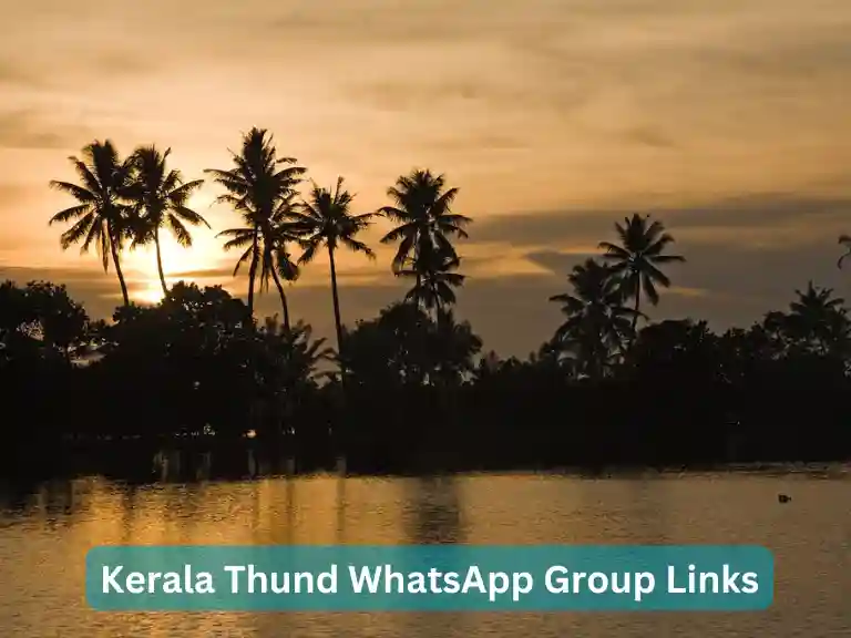 1320+ Kerala Thund WhatsApp Group Links 2024