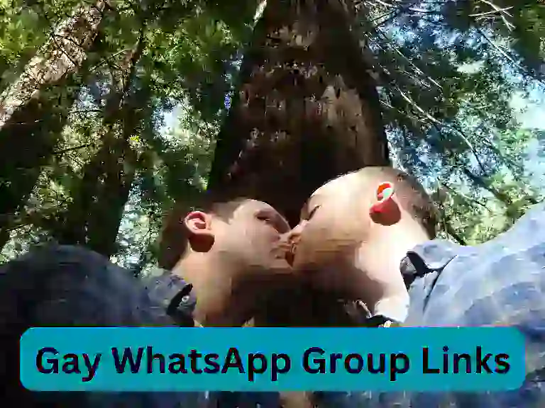 1239+ Gay WhatsApp Group Links 2024