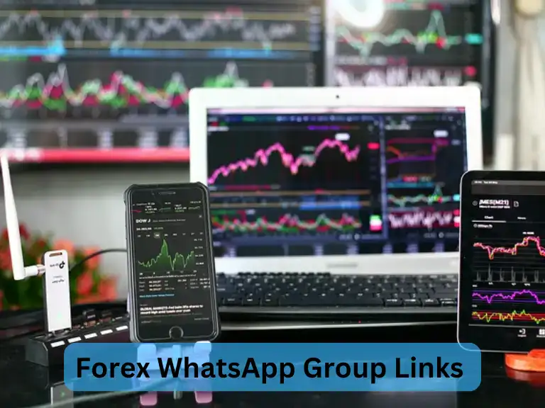 560+ Forex WhatsApp Group Links 2024