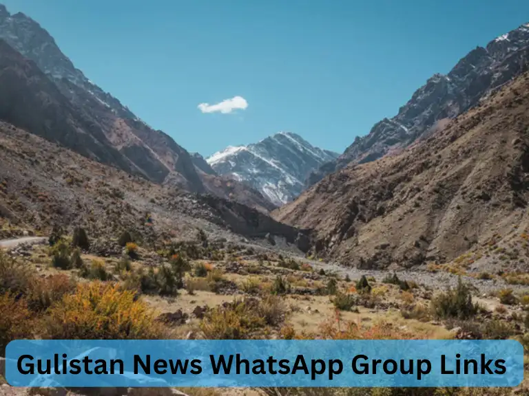 1330+ Gulistan News WhatsApp Group Links 2024