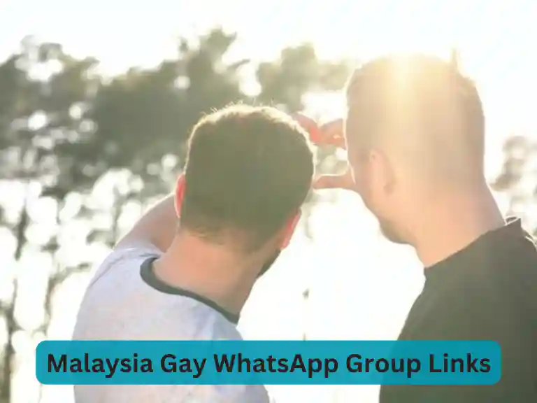 2321+ Malaysia Gay WhatsApp Group Links 2024